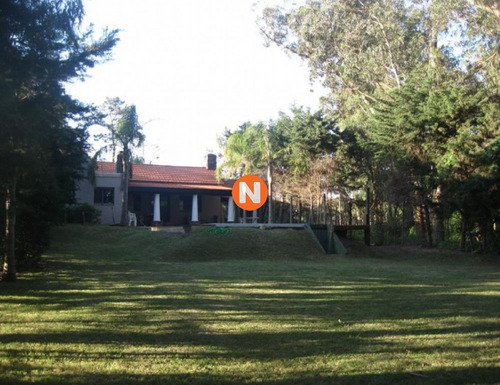 Hermosa Casa De 3 Dormitorios En R Del Indio- Ref: 213621