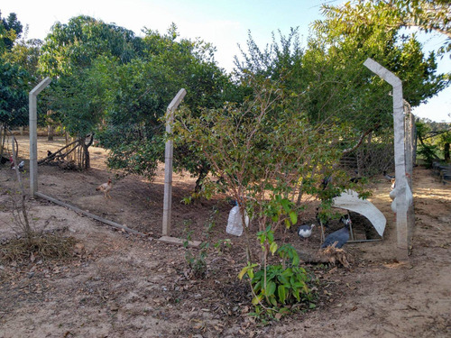Imagem 14 de 17 de Chácara Com 2 Dormitórios À Venda, 2050 M² Por R$ 280.000,00 - Bairro Dos Pires - Limeira/sp - Ch0086
