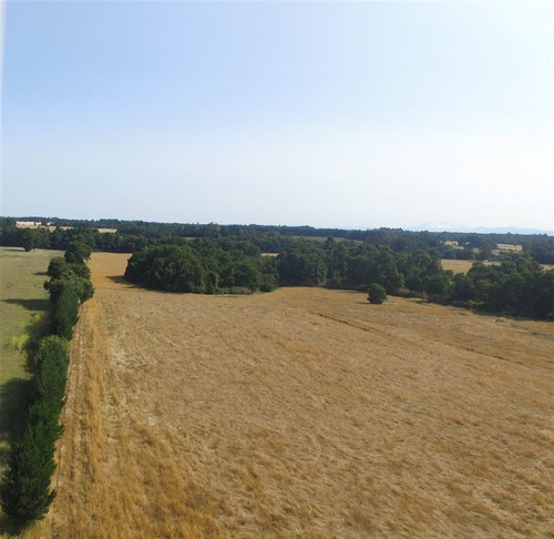 Imagen 1 de 15 de Agrícola En Venta En Ercilla