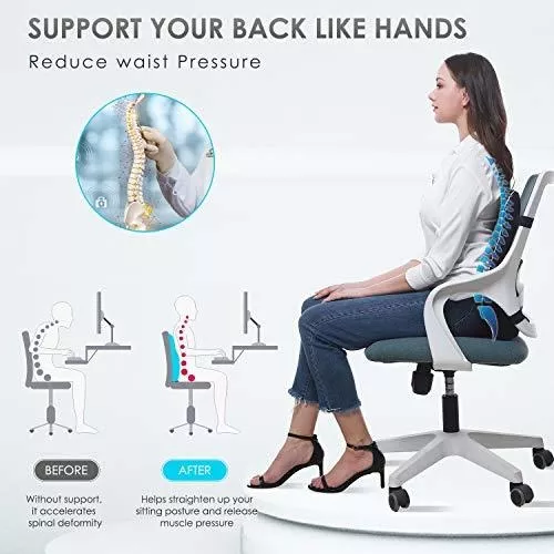  TTKXT Almohada de apoyo lumbar para silla de oficina, almohada  lumbar para aliviar el dolor de espalda, soporte de espalda baja para  automóvil, rollo lumbar ligero y transpirable de secado rápido