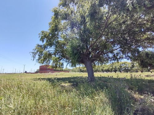 Gran Loteo En San Bernardo, Sobre Colectora!