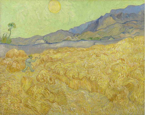 Lienzo Canvas Arte Campo De Trigo Vincent Van Gogh 50x63