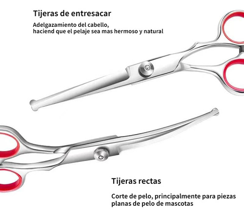 Profesionales De Aseo Para Perros, Juego De 5 Piezas Kit De
