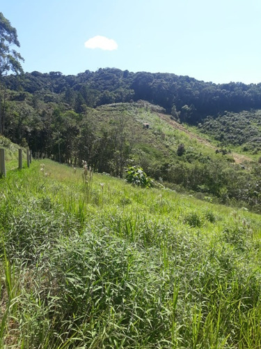 Imagem 10 de 18 de Terreno - 407 - 69476279