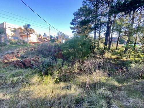 Imagen 3 de 4 de Terreno En Jardines De Córdoba Punta Del Este - Punta Del Este Jardines De Cordoba