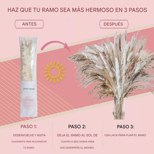 Heaimo 86pcs Ramo De Hierba De Pampas Secas Naturales