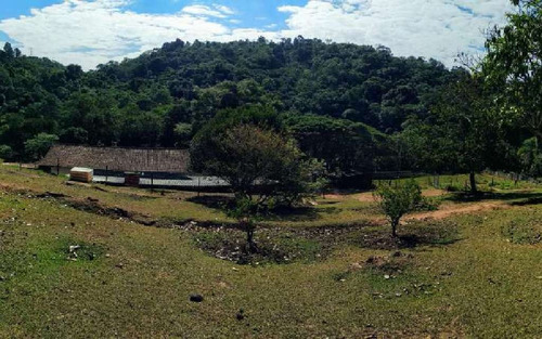 Imagem 7 de 15 de Chacara Jundiazinho 395 M² - 16554