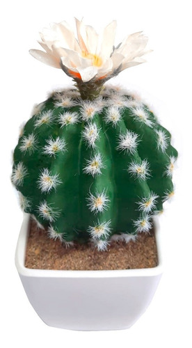 Planta Decorativa Artificial Suculenta Mini Cactus Flor 17cm | Cuotas sin  interés