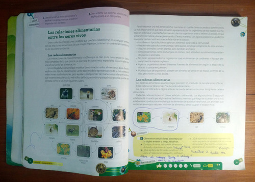 Ciencias Sociales Naturales 6 Caba Activa Xxi - Puerto Palos (Usado)