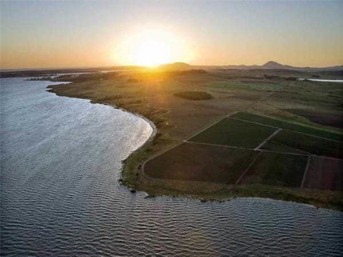 Imagen 16 de 30 de Quinta En Venta En Laguna Del Sauce (ref: Lij-5040)