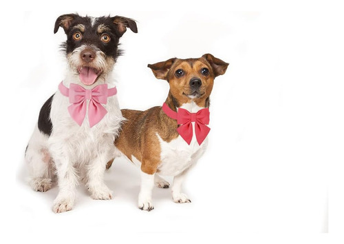 Maca Bates - Collar De Perro Con Pajarita Para Perros, 12 Co