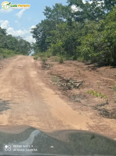 Imagem 14 de 15 de Fazenda À Venda Em Grajaú - Ma - 11.000 Hectares (dupla Aptidão) - 2143