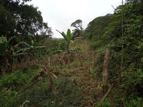 Imagem 9 de 10 de Ampla Chácara Iguape- Vale Do Ribeira 4300m² À Venda. 8703