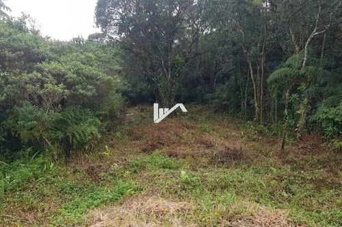 Imagem 3 de 4 de Terreno No Jardim Comendador Em Itanhaém