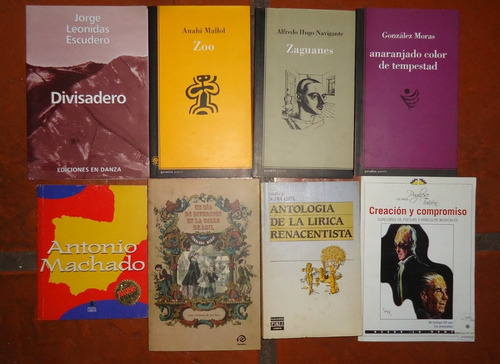 Lote Libros Poesia V/ Autores Poetas Libros Longchamps Z Sur