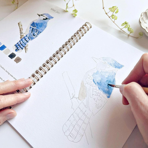 Conjunto De Desenhos Em Aquarela Para Iniciantes Em Pasta De