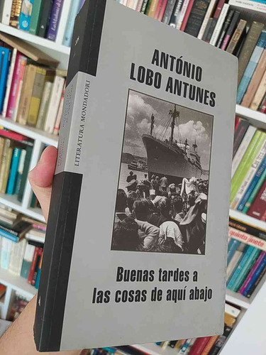 Buenas Tardes A Las Cosas De Aquí Abajo  António Lobo Antune