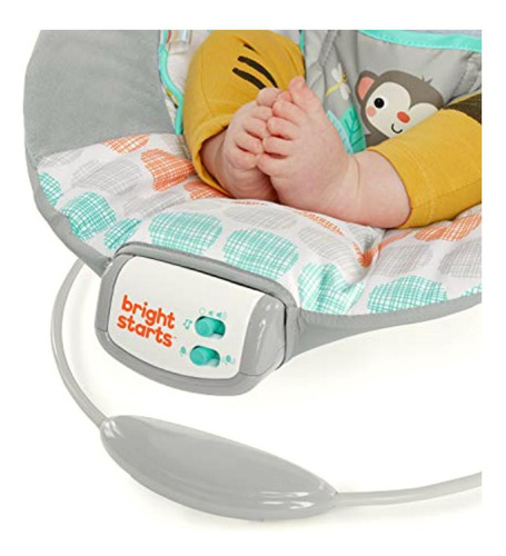 Bright Starts Comfy Baby Bouncer Soothing Vibrations Infant