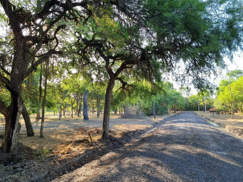 Imagen 5 de 13 de Terreno De 3962 M2 En Bosque Encantado