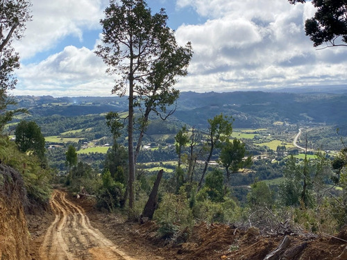 Imagen 8 de 22 de Campo De 42ha Estaquilla - Los Muermos