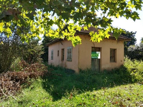 Chácara 10.000 M² - Mato Fino - Gravataí - Rs - 2097 - 33813852