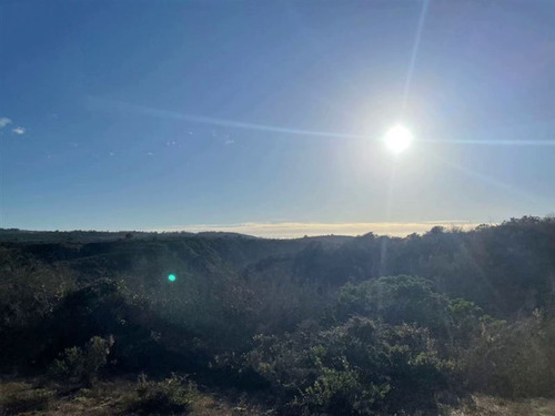 Parcelas En Algarrobo Terrenos De 5 Hectáreas Rol Propio