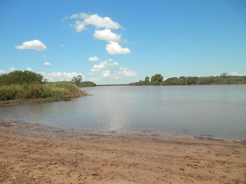Estancia Isla Vizcaino 1569ha Ganadero Agricola Rio Negro Y Rio Uruguay