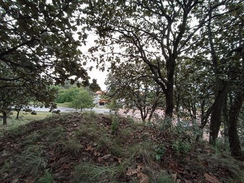 Imagen 2 de 7 de Terreno En Venta En El Palomar