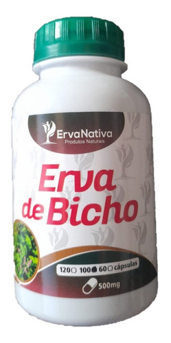 Remedio De Hemorroidas Verizes Veias Combo+chá Sabor Neutro
