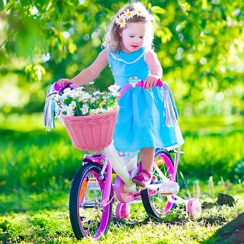 Cesta De Bicicleta Para Niños, Cinturones, Color Morado