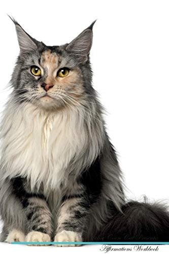 Maine Coon Cat Affirmations Workbook Maine Coon Cat Presents