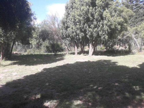 Imagen 12 de 14 de Acogedor Departamento Bariloche. Km 13,5. Jardin Y Parrilla.