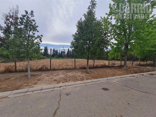 Sitio En Venta En Colina