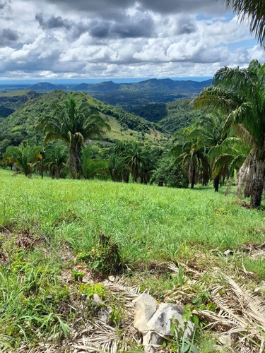 Imagen 13 de 18 de Finca En Venta La Montañita Vereda Tomogo San Luis, Tolima