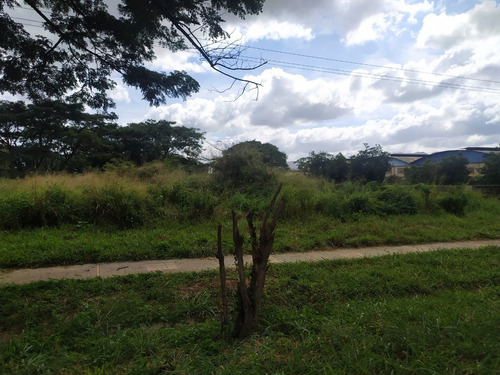 Imagen 4 de 8 de Terreno Vía Cúa-san Casimiro, Sector Aparay, Estado Miranda