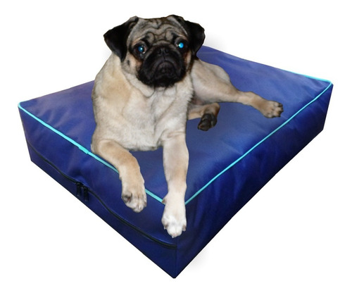 Colchon Liso Antidesgarro 66,5x47x10 Cm Cama Para Perros