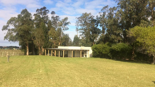 Lo De Piti, Casa En Balneario Buenos Aires