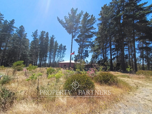 Algarrobo, Bosque De Algarrobo Parcela 100% Plana
