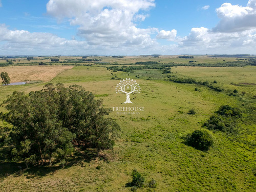 Venta Campo 18 Hectáreas Ruta 9 San Carlos (ref: Tbr-3316)