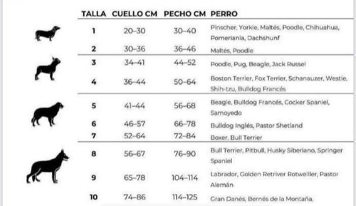 Disfraz De Bruja Para Perrita O Gatita