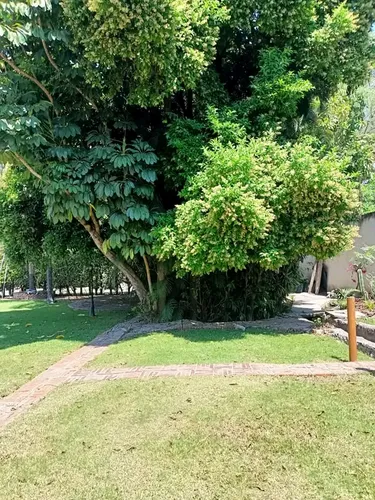 Casa Sola Jardín Maduro Vocación Múltiple