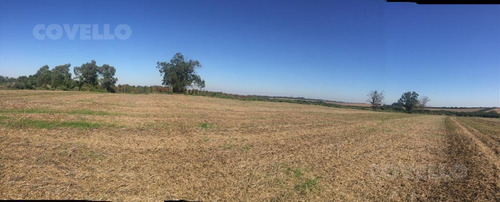 Imagen 4 de 11 de Campo En Martin Chico, Buena Tierra Productiva, Zona En Desarrollo