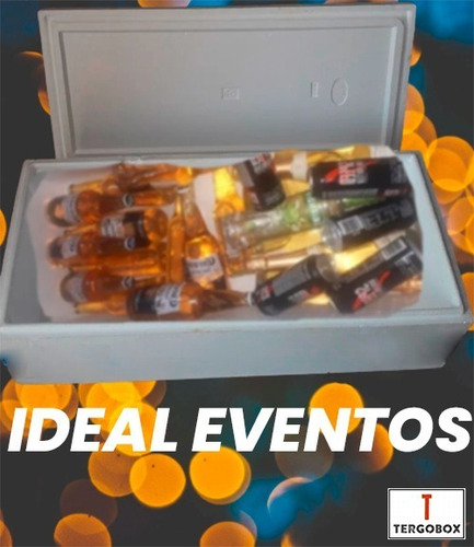 Imagen 4 de 6 de Cajas Termicas Conservadoras Tergopol Usadas