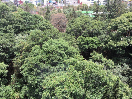 Bosques De Las Lomas, Excelente Departamento Con Vista Espec
