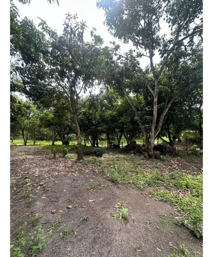 Lote En La Mesa Vereda El Palmar
