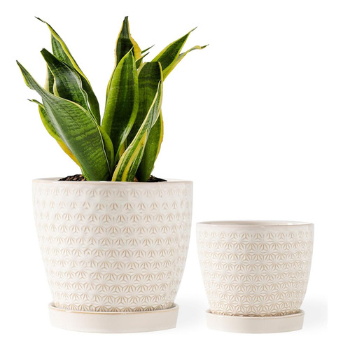 Macetas Para Plantas, Macetas Para Flores, Jardineras Para P