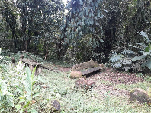 Imagen 15 de 16 de Se Vende Hostal En Filandia - Quindío