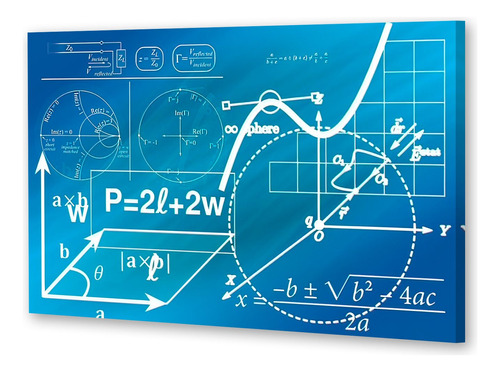 Cuadro Canvas Leyes Matematicas Formula Fisica P3