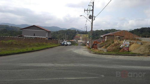Terreno À Venda, 390 M² Por R$ 169.000,00 - Itoupava Central - Blumenau/sc - Te0276