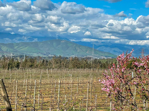 Imagen 43 de 44 de Hacienda Los Aromos